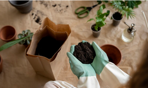 Jardinage : Les sacs en kraft sont idéaux pour la culture de plantes et de légumes. Ils peuvent être utilisés pour créer des pots biodégradables qui peuvent être plantés directement en terre, minimisant ainsi les perturbations pour les racines.