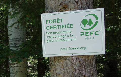 forêts certifiées FSC