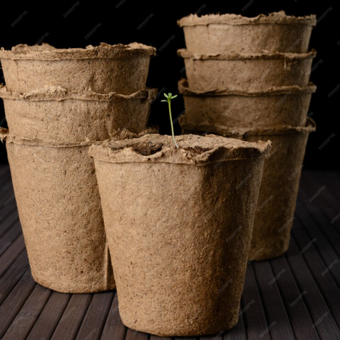 4. Jardinage en pot : Les gobelets en carton sont parfaits pour les semis de plantes. Vous pouvez les remplir de terreau, y planter des graines, et les utiliser comme pots temporaires. Une fois que les plantes ont suffisamment grandi, il vous suffit de transplanter le tout, gobelet compris, dans le jardin ou dans un pot plus grand. Cela évite le stress de la transplantation et réduit les déchets. Retrouvez nos conseils pratiques ici : Comment recycler un gobelet carton.