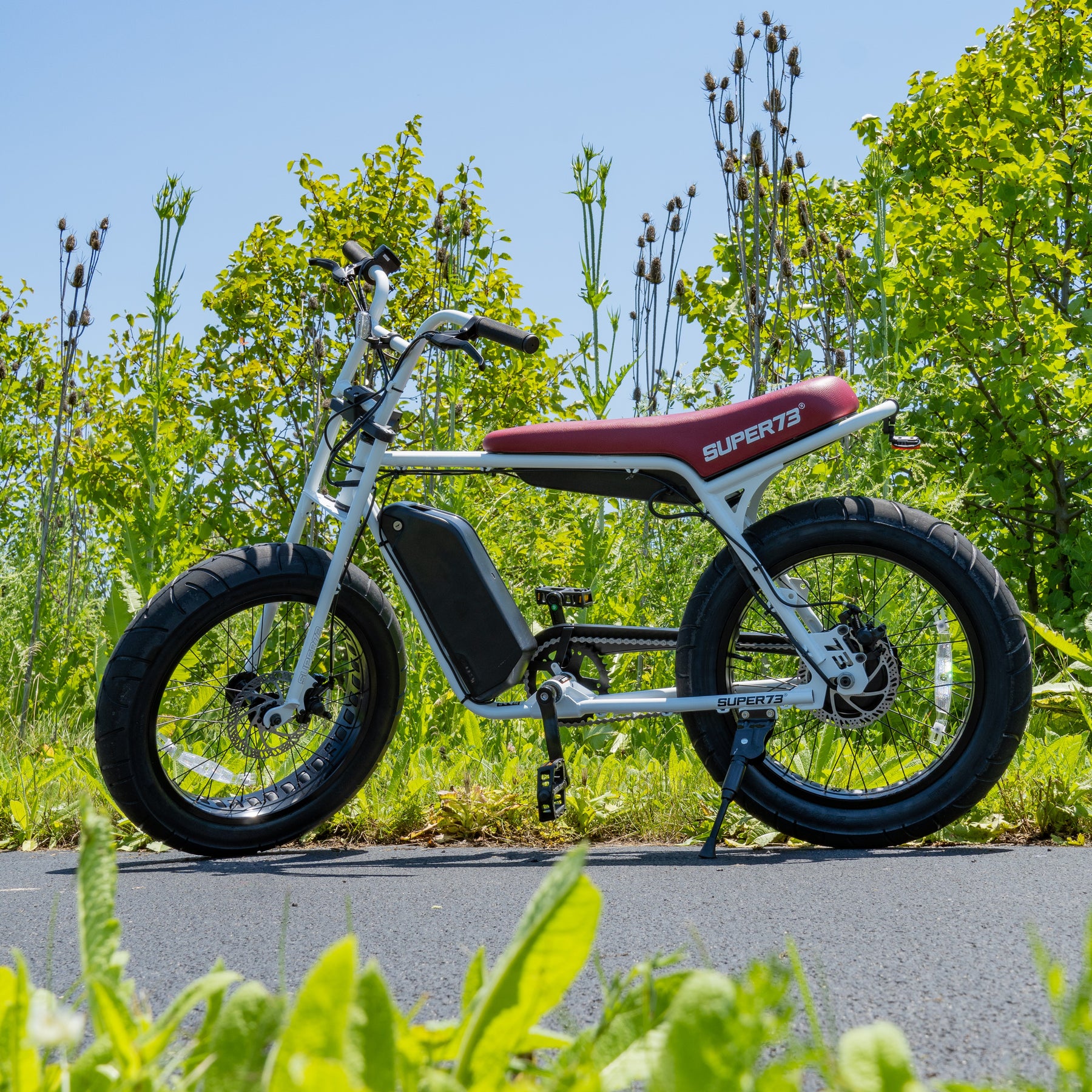 schwinn cruiser deluxe 100th anniversary