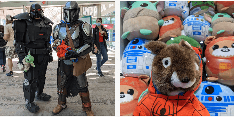 left:2 person in star wars costume holding Sammy the Squirrel . Right: Sammy the squirrel in front of star wars pillows