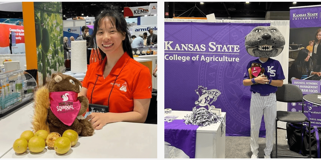 Sammy the squirrel next to fruit and Sammy being held by the Kansas State College of Agriculture mascot