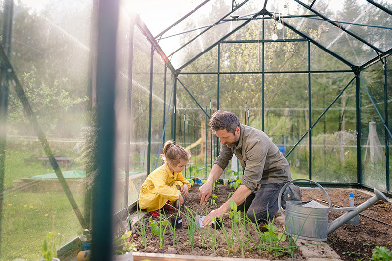 father and daughter doing gardening inside a greenhouse