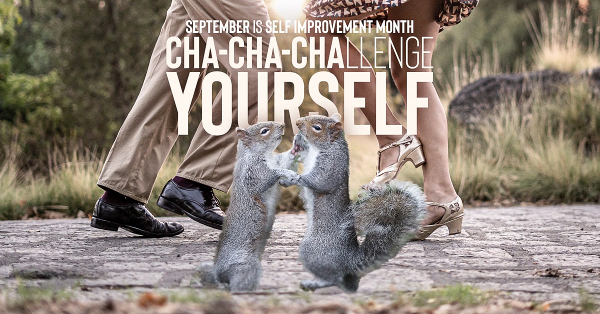 September is self improvement month - a couple of squirrels dancing in the foreground and a couple in the background