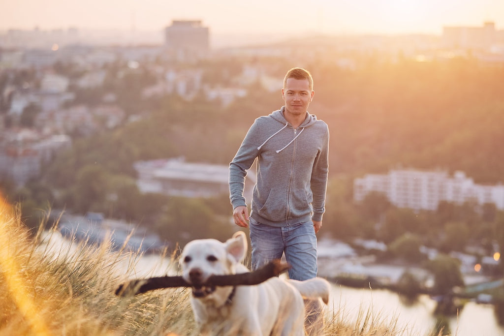 dog with wood and man walking behind him on a hike