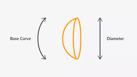 Base Curve