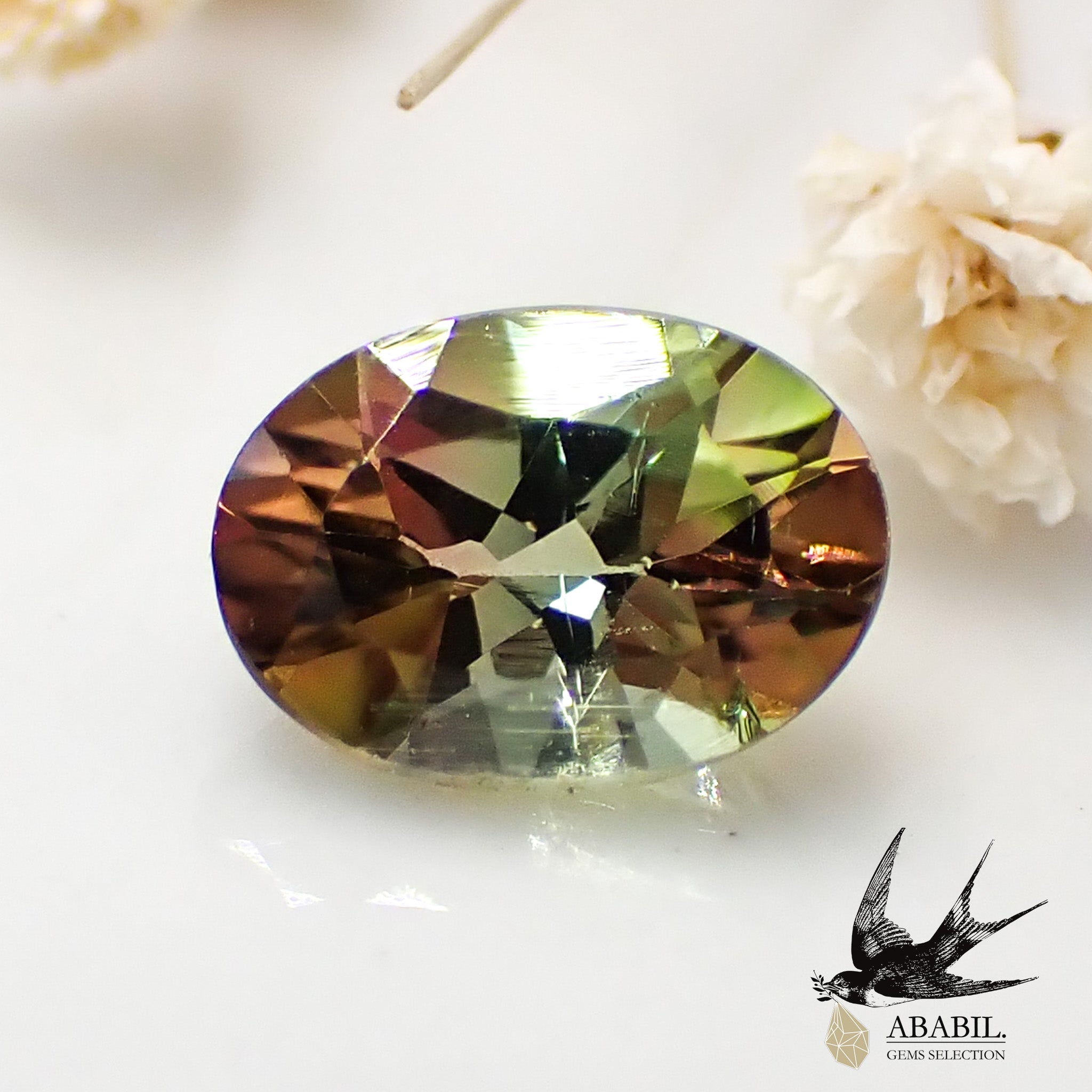 幻想的 天然 バイカラートルマリン 9.72ct | www.aosfiji.org