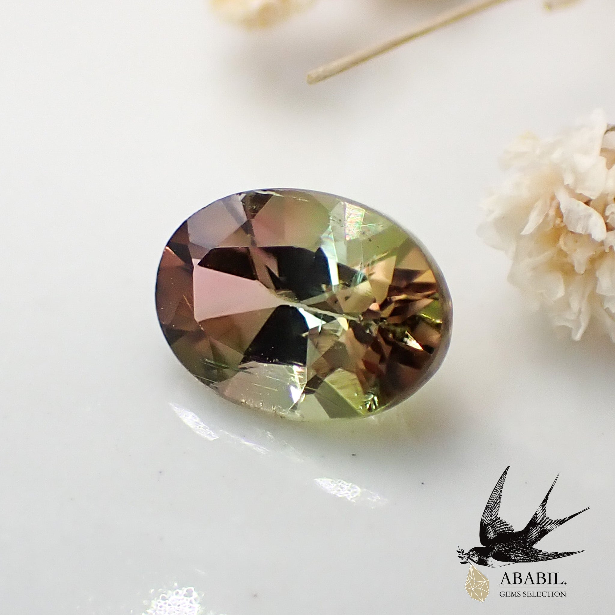 天然 バイカラートルマリン 9.72ct tic-guinee.net