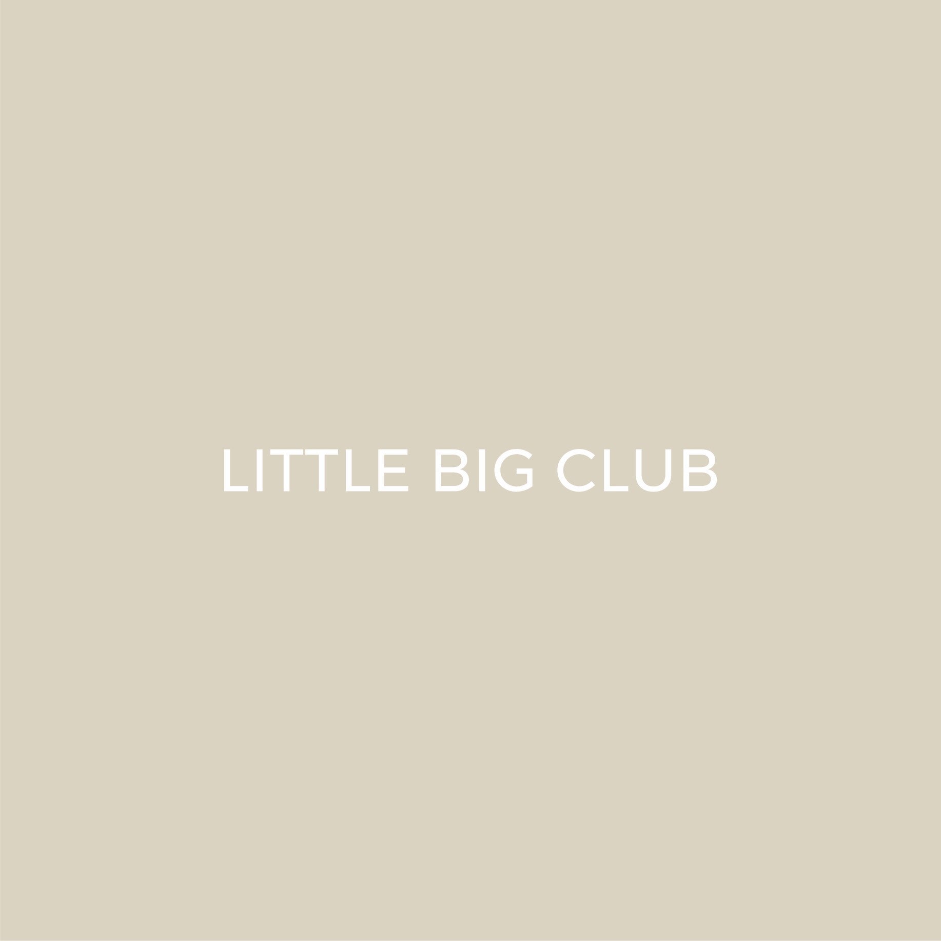 LITTLE BIG CLUB