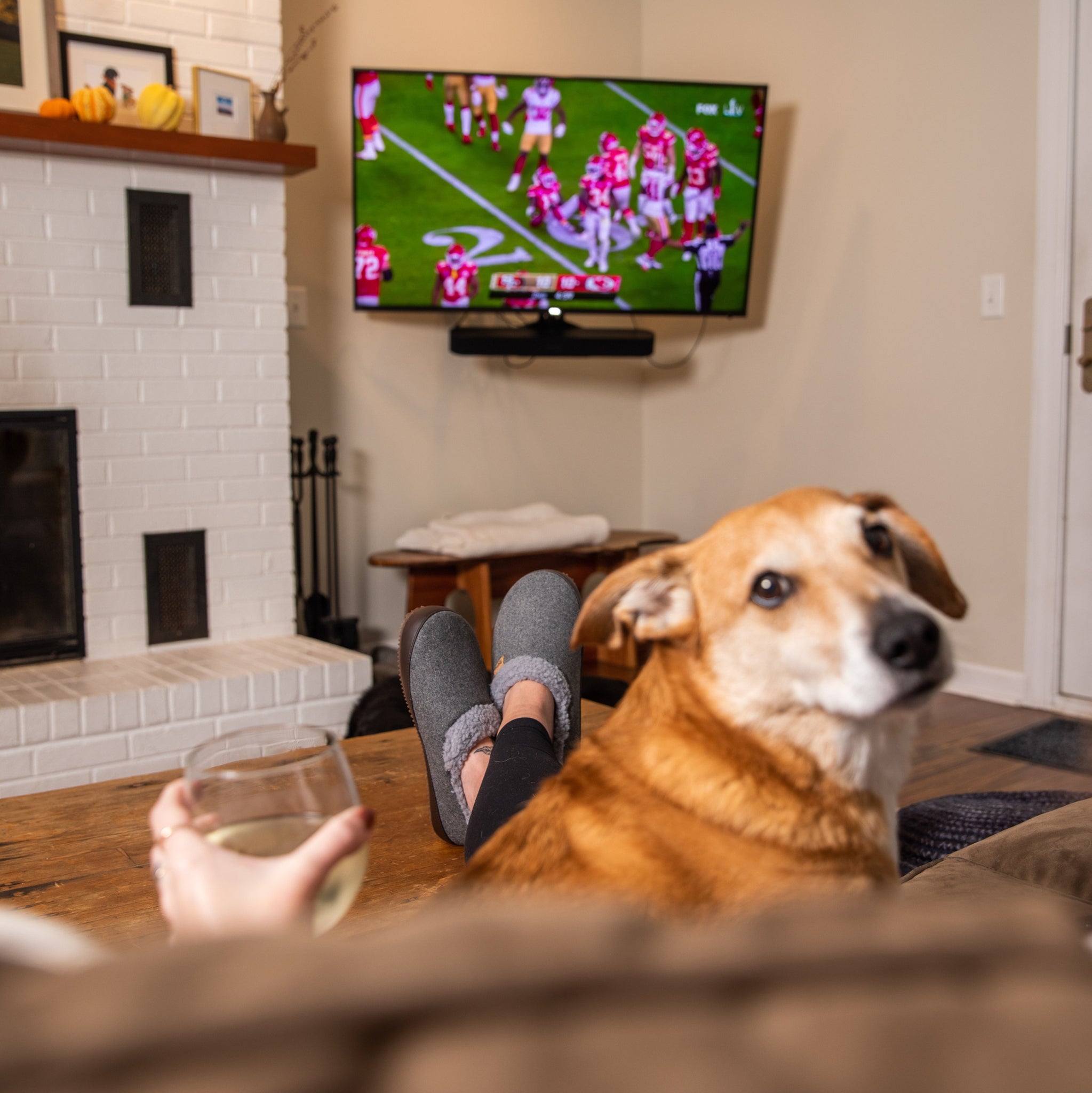 Cute doggy on the couch with owner watching football