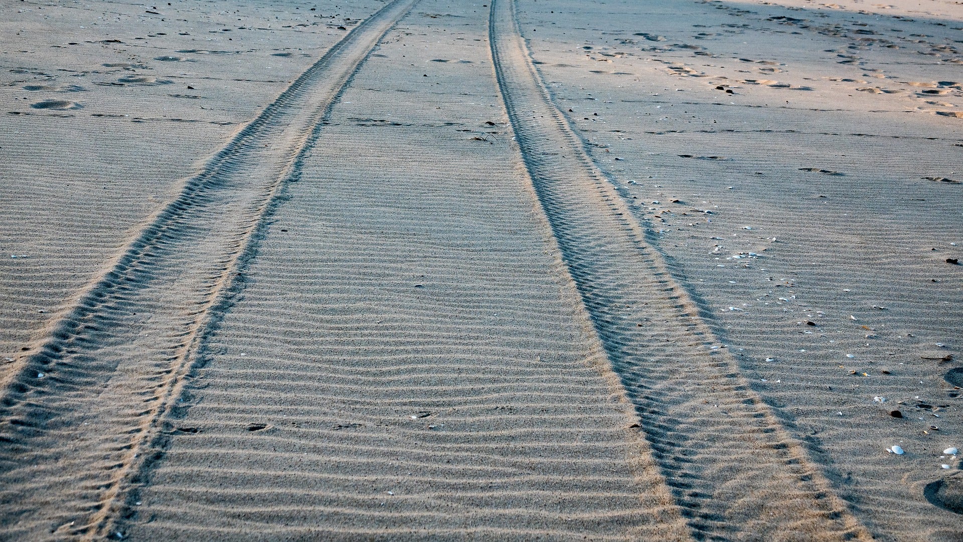 Jeep tracks in sand - Freewaters