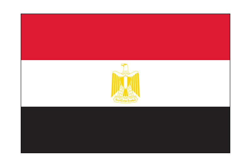 Egypt_3x5-World-flag-800x533.jpg__PID:895c7905-1274-4925-868e-96d2736e34df