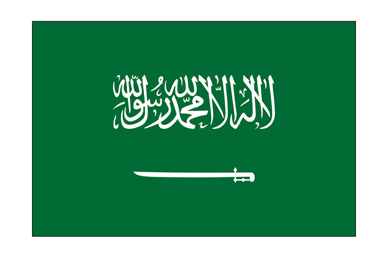 Saudi_Arabia_3x5-World-flag-800x533-Recovered.jpg__PID:dae086b2-f2bd-4803-a384-a284ad2e5e0a
