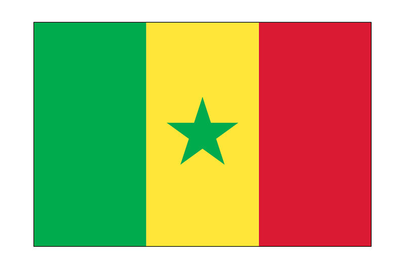 Senegal_3x5-World-flag-800x533-Recovered.jpg__PID:f2bd0803-a384-4284-ad2e-5e0aeddc6afe