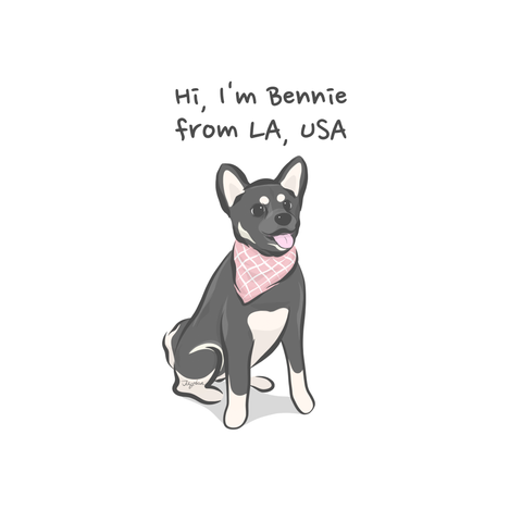 WickedPup's PupToon Giveaway Winner, Bennie, Korean Jindo Dog Puppy | Welcome to the WickedPup Community!