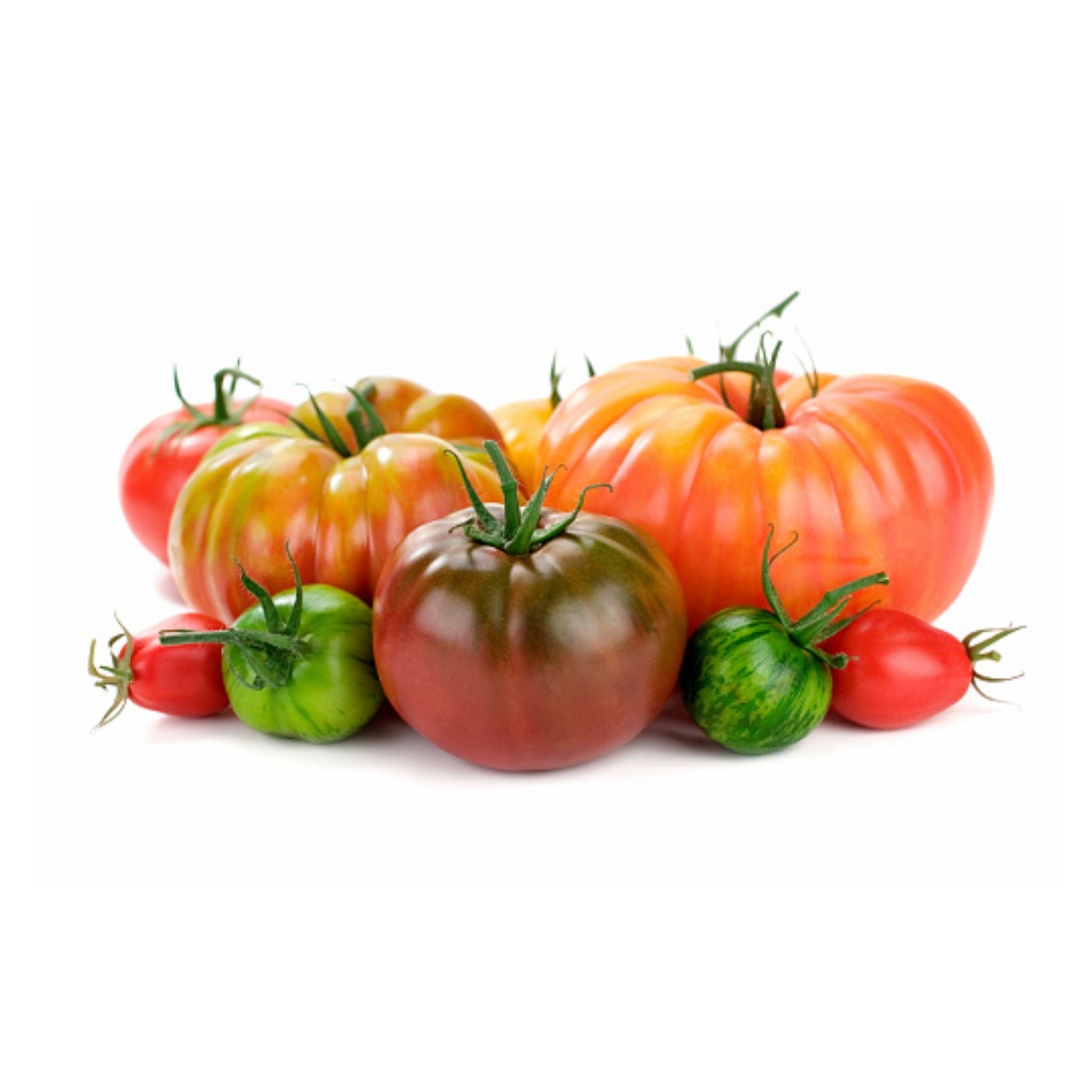 CO Tomato Heirloom Beefsteak • Kiwi Nurseries Ltd