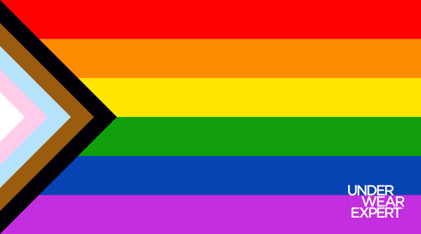 Gay Progress Pride Flag