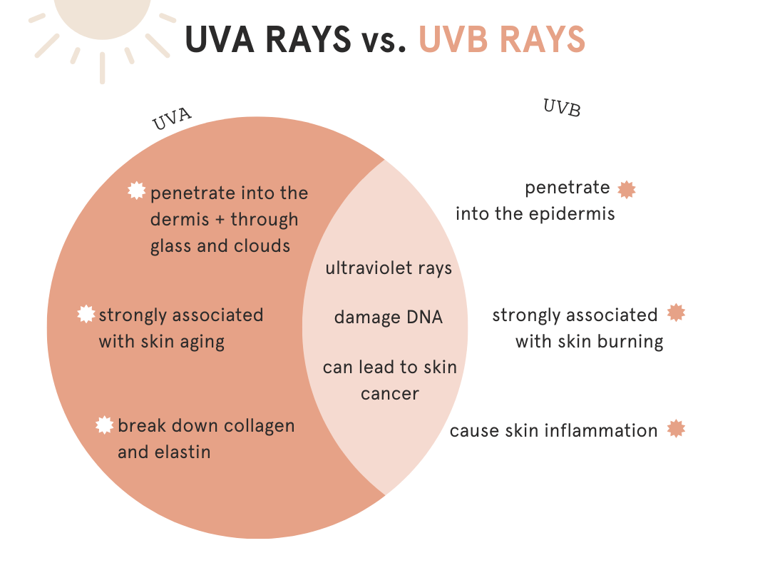 UVA UVB Rays Infographic