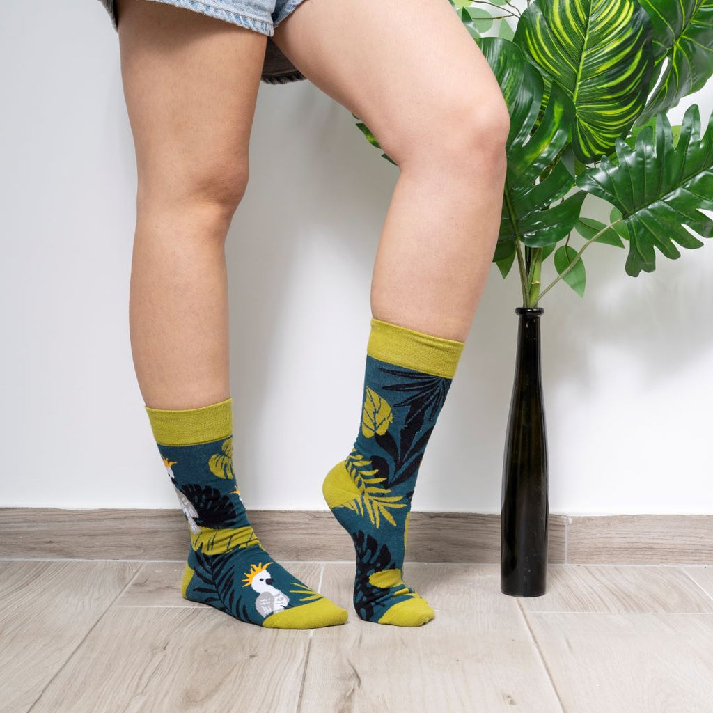 Calcetines divertidos sin costura PANDA – Kylie Crazy