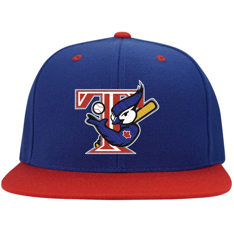 retro mlb snapbacks