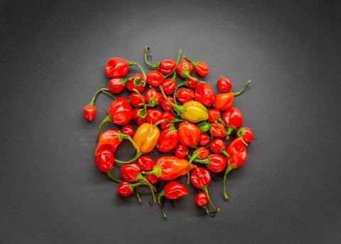 Habanero extract