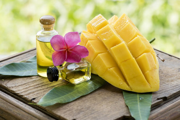 The History of Flavor Extraction Techniques: Mango Extract is a Product of Modern Technology