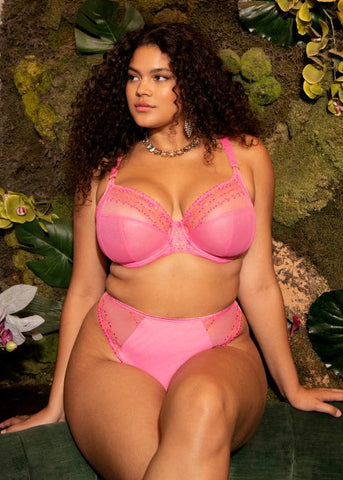 Soutien-gorge grande taille Elomi Matilda Wild Cherry en magasin de lingerie à Paris