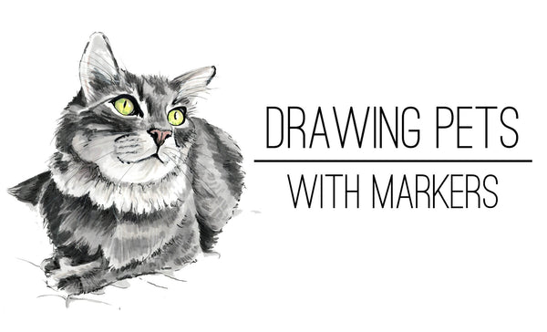 how to draw pets with markers skillshare class morgan swank studio