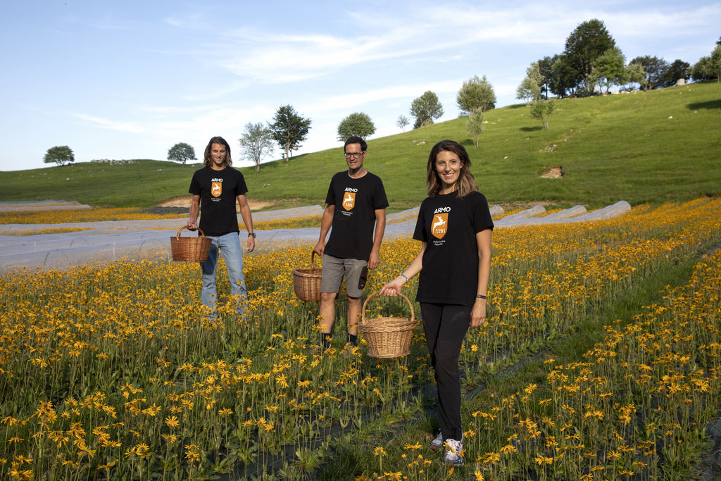 Arnica Antonio Conzato Francesca Muner Andrea Muner