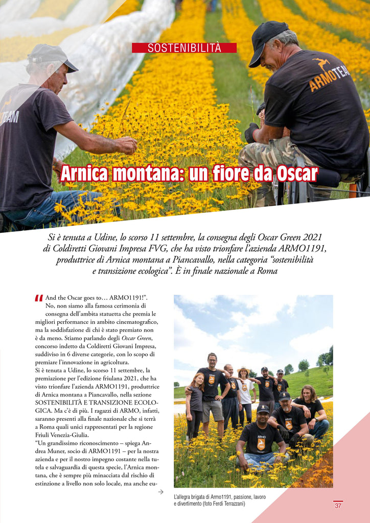 Piancavallo Magazine Arnica
