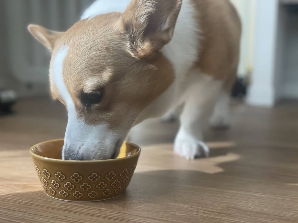 香りが立ち、食いつき改善につながる