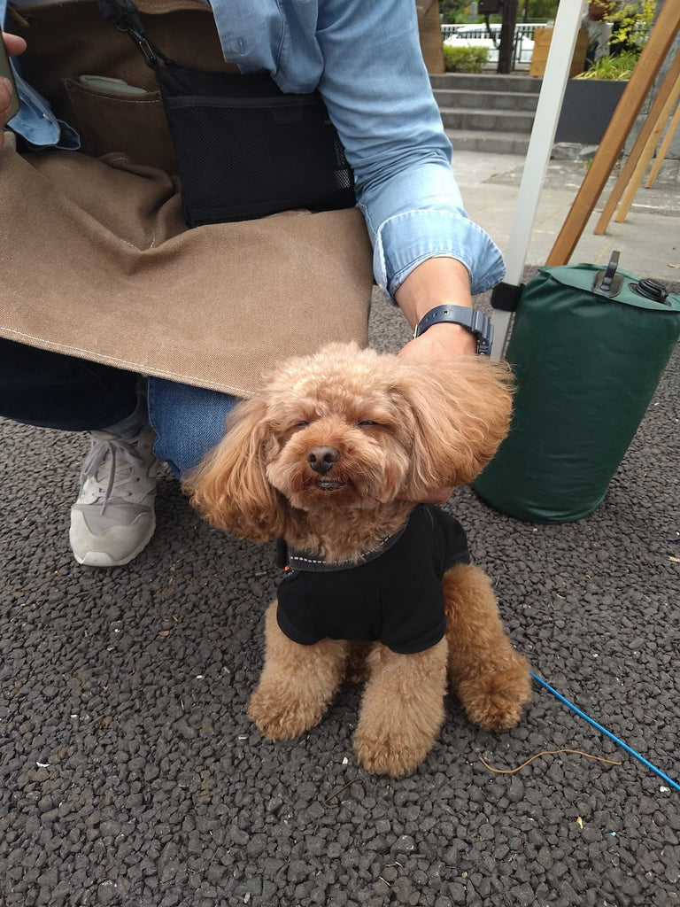 Foodie Dogs TOKYO広尾店のお友達も遊びに来てくださいました！