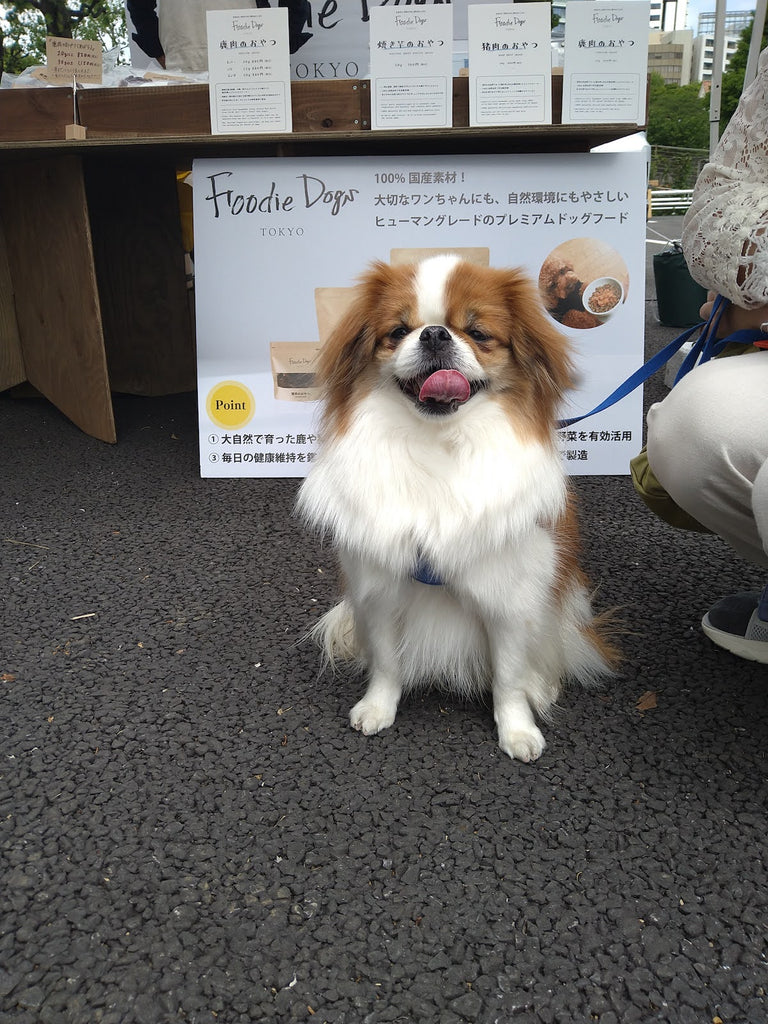 Foodie Dogs TOKYO Hiroo店的朋友們也來拜訪我們了！