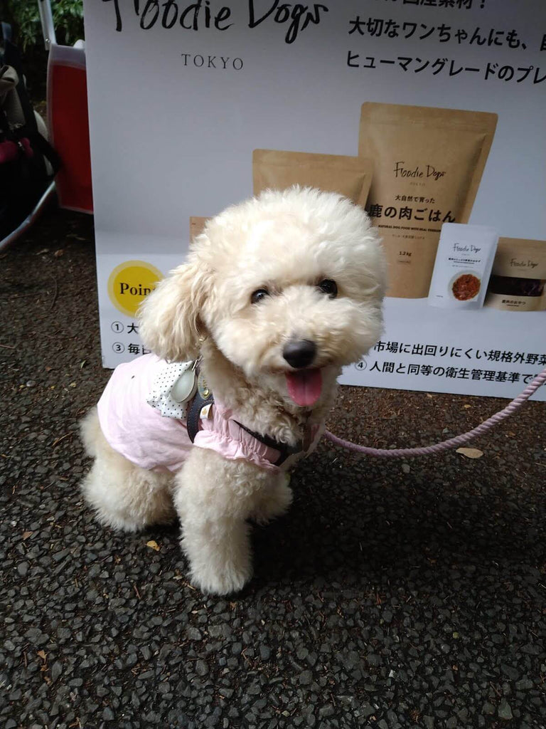 Foodie Dogs TOKYOの商品はワンちゃんだけでなくヒトも美味しく食べられます！