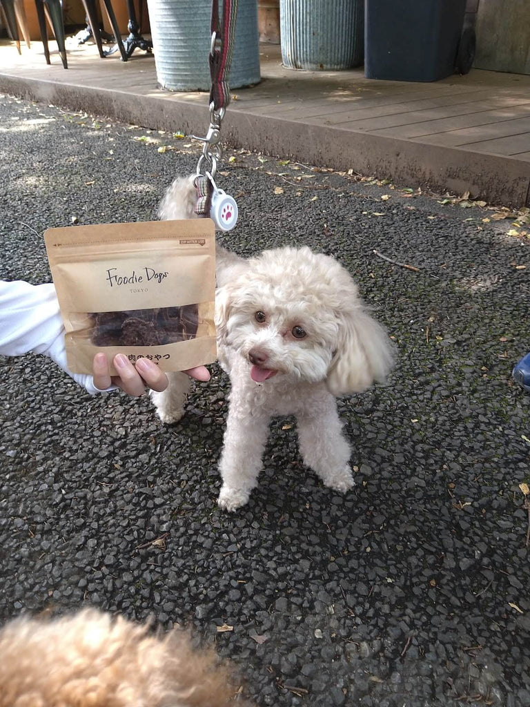 Foodie Dogs TOKYO 的產品不僅對狗來說很美味，對人類來說也很美味！
