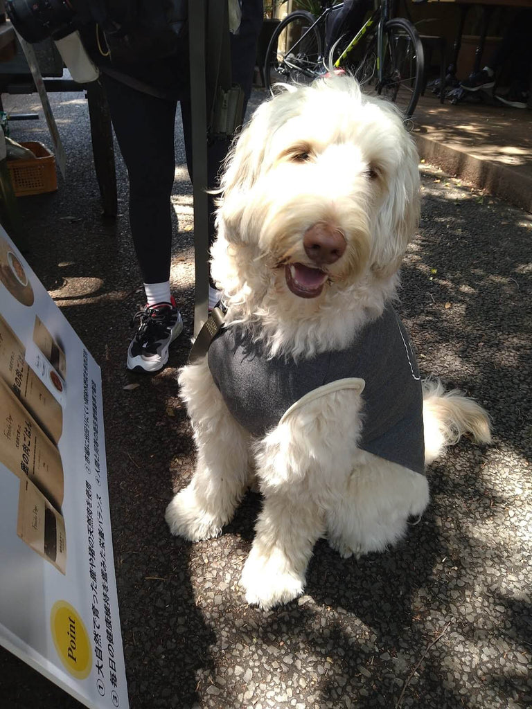 Foodie Dogs TOKYOの商品はワンちゃんだけでなくヒトも美味しく食べられます！