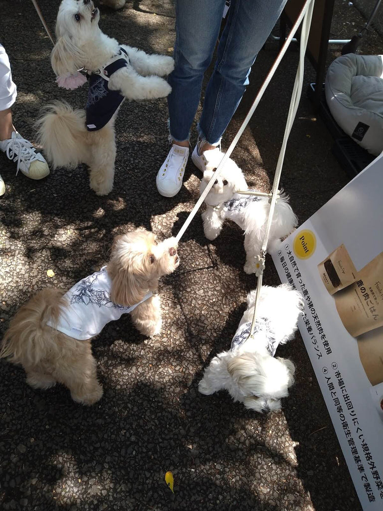 Foodie Dogs TOKYO 的产品不仅对狗来说很美味，对人类来说也很美味！