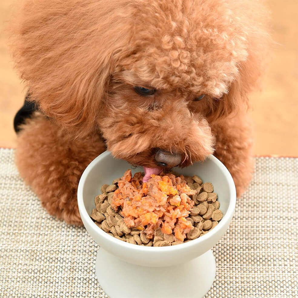 穀物は犬にとって消化が悪く、必要のない食材だと言われることがありますがそれは本当なの？