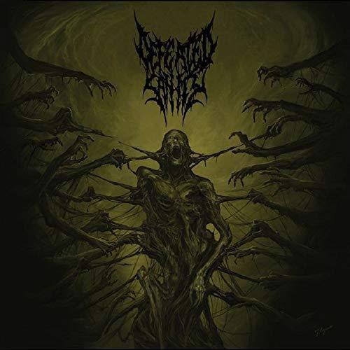 Defeated Sanity - Passages Into Deformity (Picture Disc; Limited Edition)
