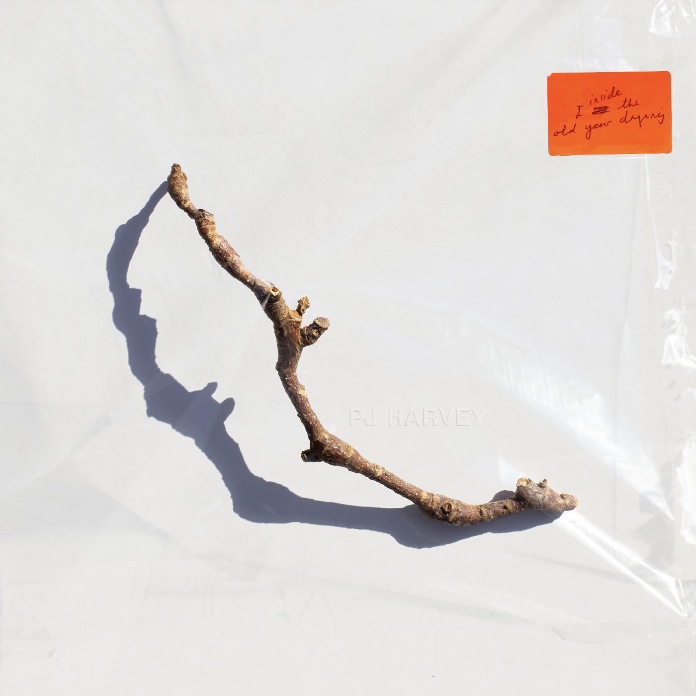 Pj Harvey - I Inside The Old Year Dying (Vinyl)