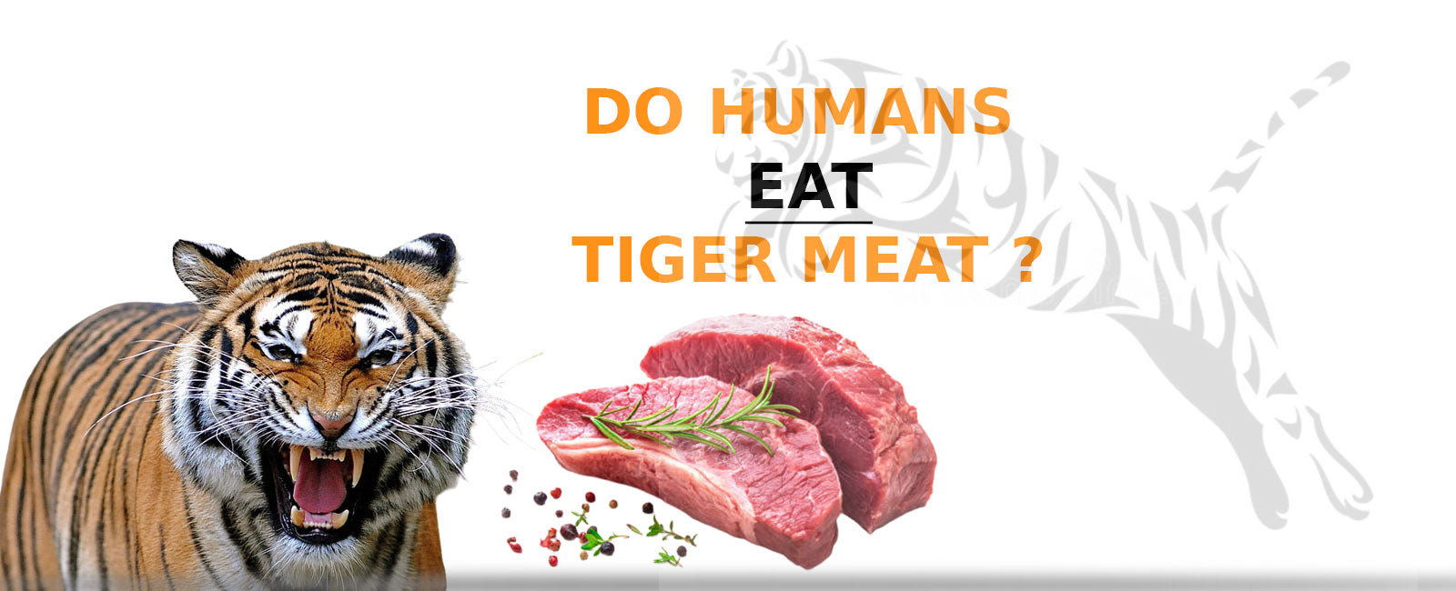 Do Humans Eat Tiger Meat? | Tiger-Universe