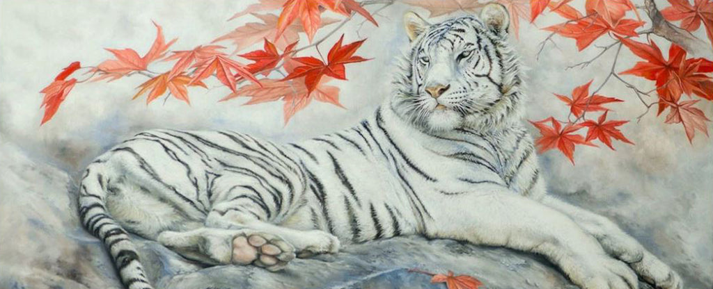 White tiger illustration Tattoo China White Tiger Chinese dragon China  mammal cat Like Mammal png  PNGEgg
