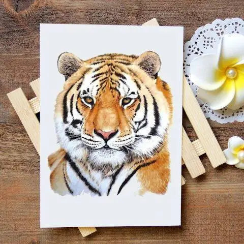 Drawing Siberian Tiger Tattoo Art Sketch Tiger pattern white mammal png   PNGEgg