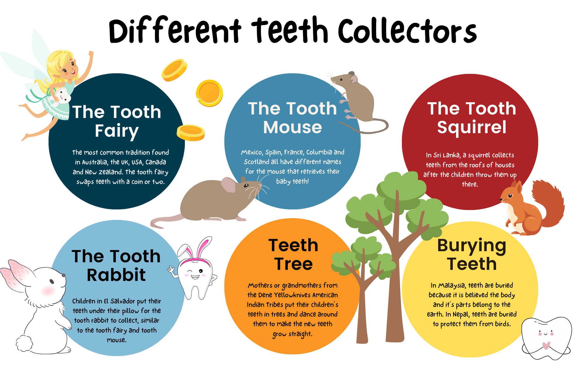 Different teeth collectors around the world - tooth fairy cultural differences.