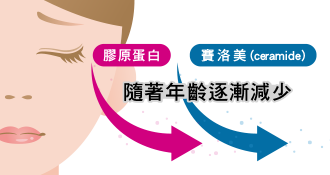 Hong Kong Suntory official website Collagen and Silome loss indication