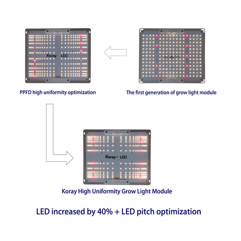 Evolution of G1000