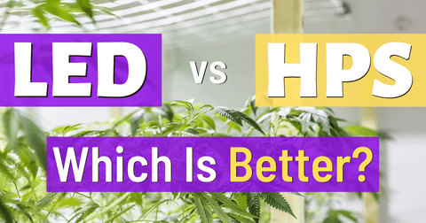 What's the difference : LED vs. HPS FORGETTING PREJUDICE--Koray Grow Light