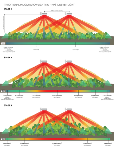 The Keys of Uniformity for Plant Growth (4)