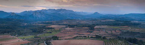a sweeping landscape photo of the Terra Alta region showing plots of land in the foreground and mountains receding into the blue haze in the background