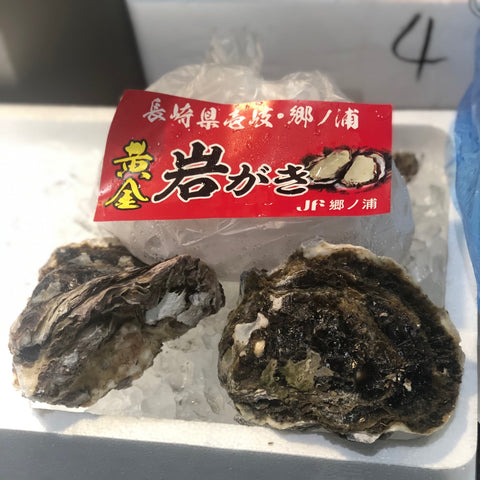 長崎県郷ノ浦産　岩牡蠣　黄金かき　鮮魚通販　Okawari鮮魚店